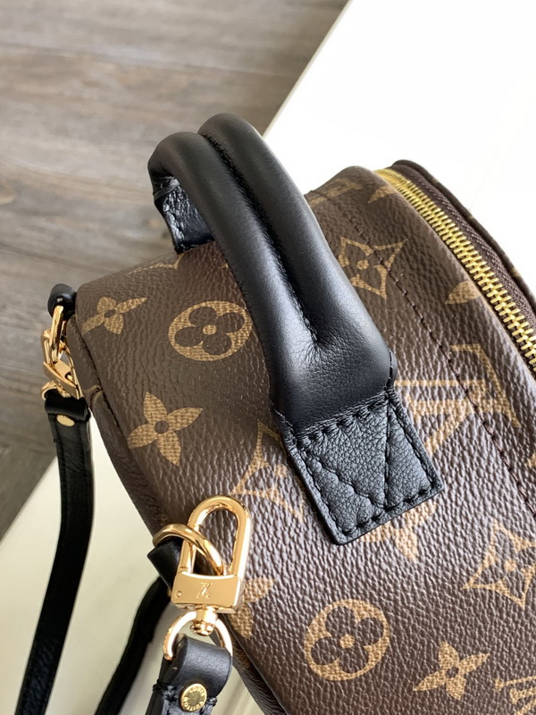 LV Backpack(AAA)-041