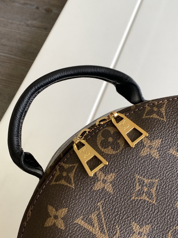 LV Backpack(AAA)-045