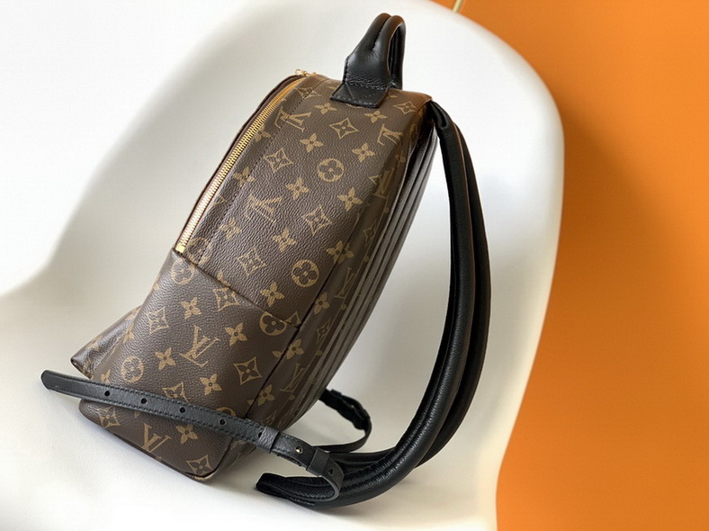 LV Backpack(AAA)-145