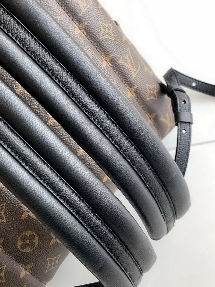 LV Backpack(AAA)-145