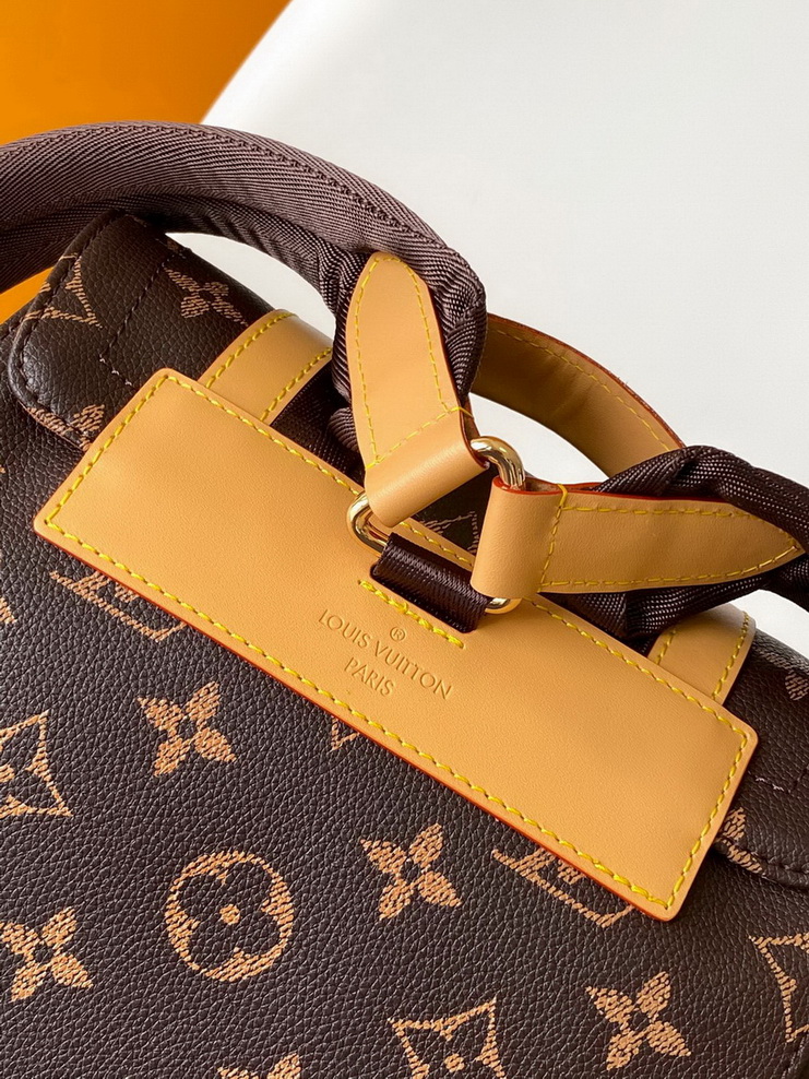 LV Backpack(AAA)-197