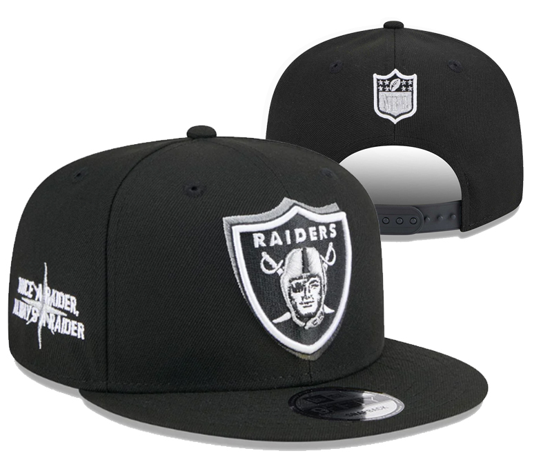 NFL Snapback-087
