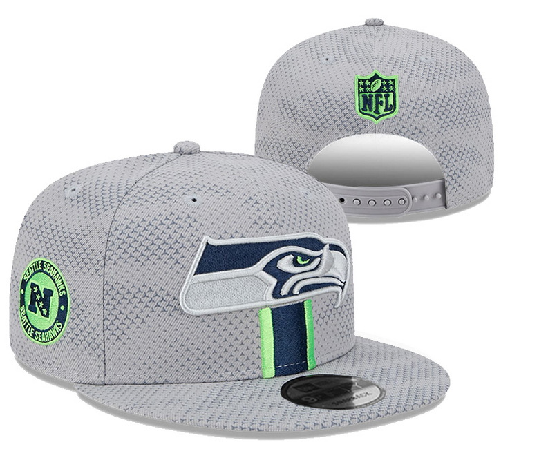 NFL Snapback-021