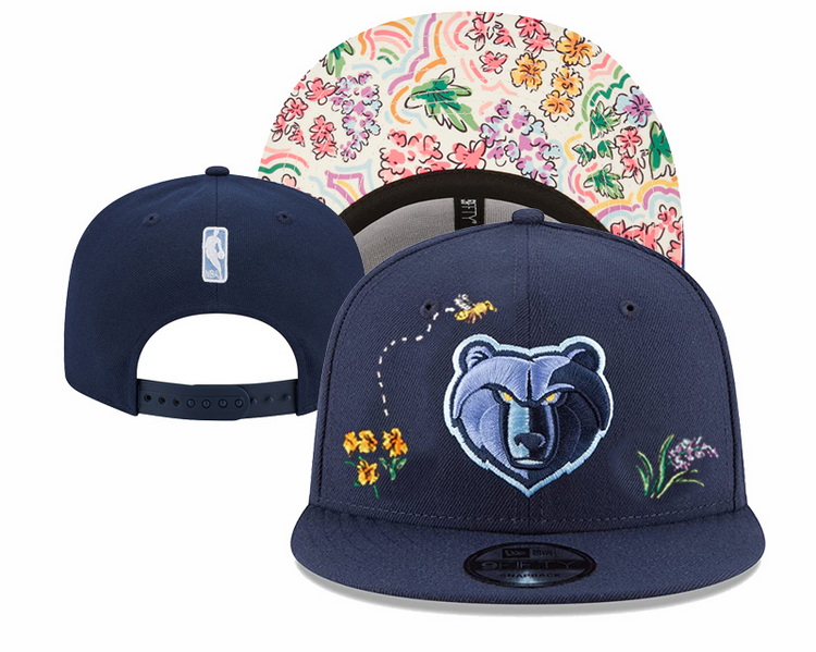NBA Snapback-089