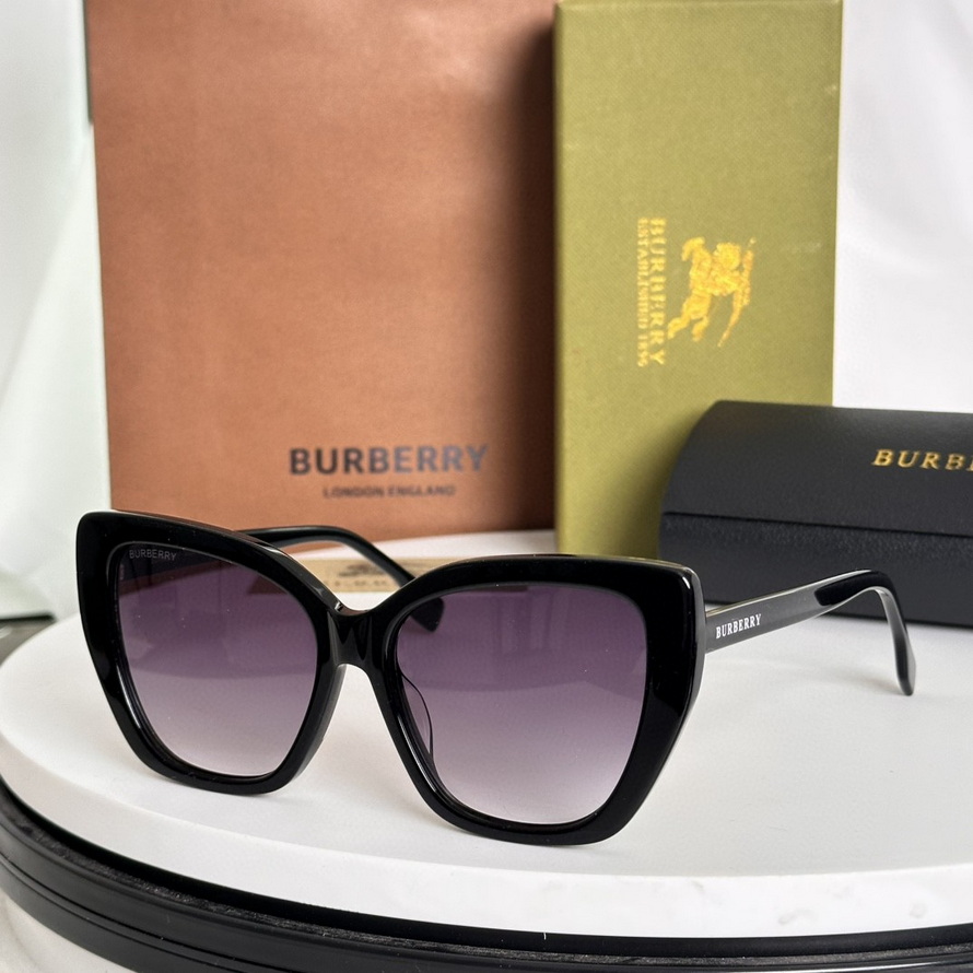 B**rry sunglasses(aaaa)-1183