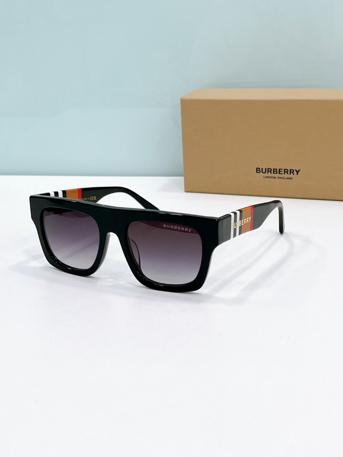 B**rry sunglasses(aaaa)-1159