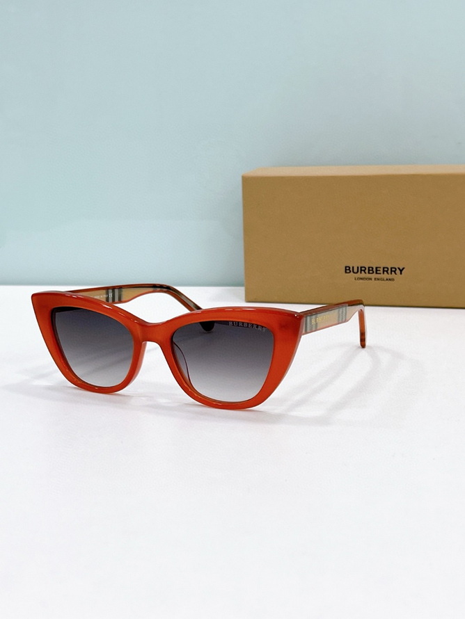 B**rry sunglasses(aaaa)-1151