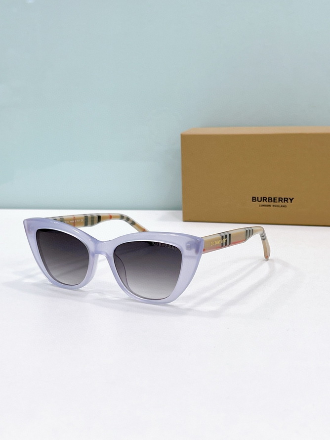B**rry sunglasses(aaaa)-1146