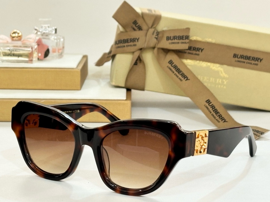 B**rry sunglasses(aaaa)-1145
