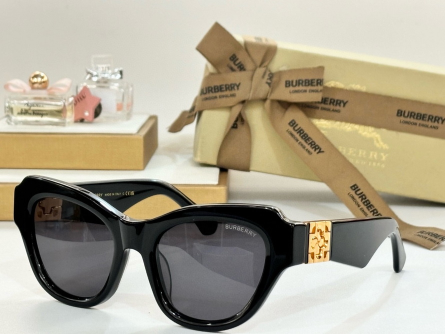 B**rry sunglasses(aaaa)-1139
