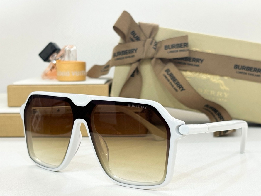 B**rry sunglasses(aaaa)-1130