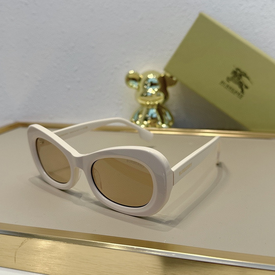 B**rry sunglasses(aaaa)-1103