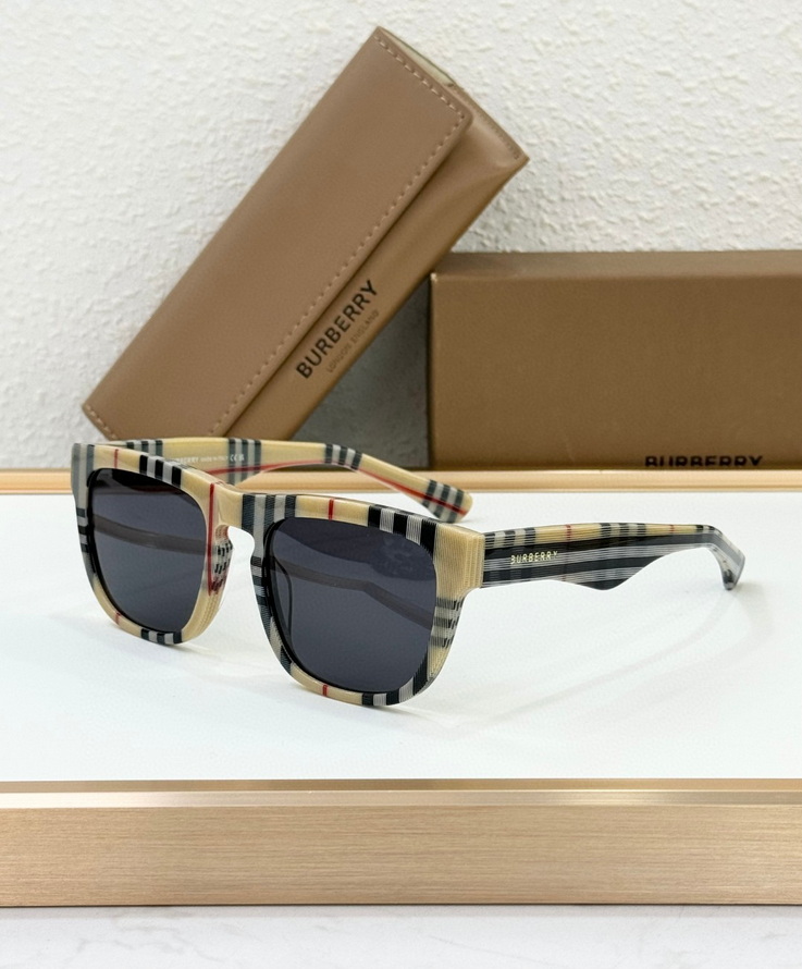 B**rry sunglasses(aaaa)-1101