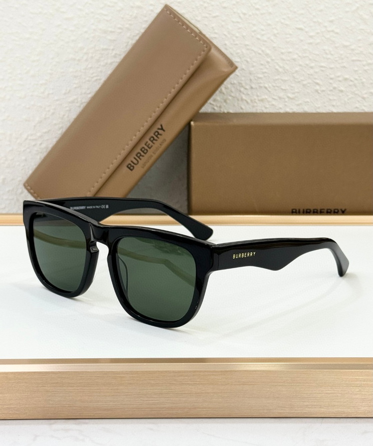 B**rry sunglasses(aaaa)-1096