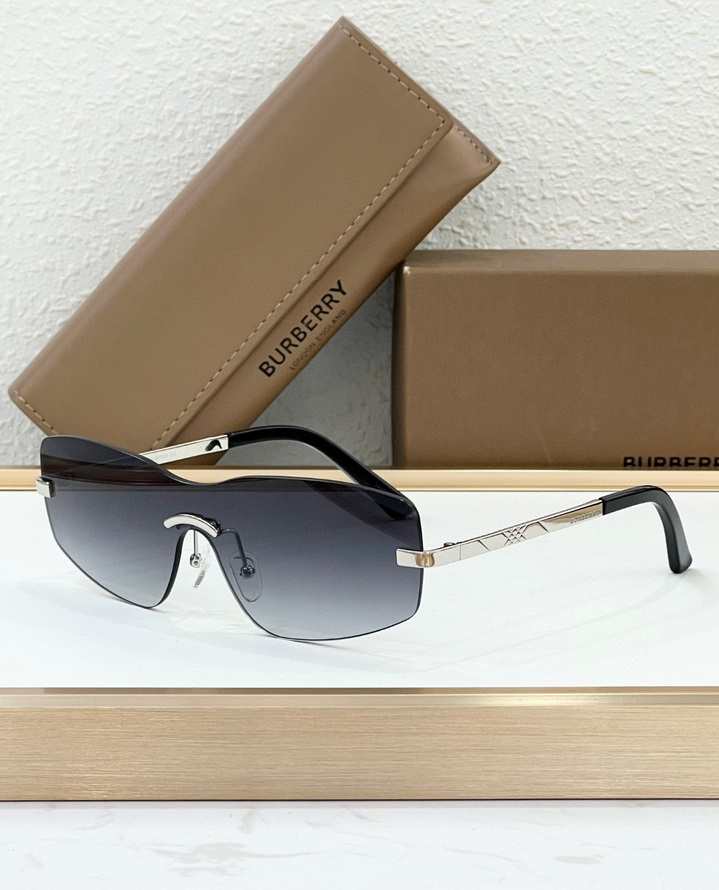 B**rry sunglasses(aaaa)-1089