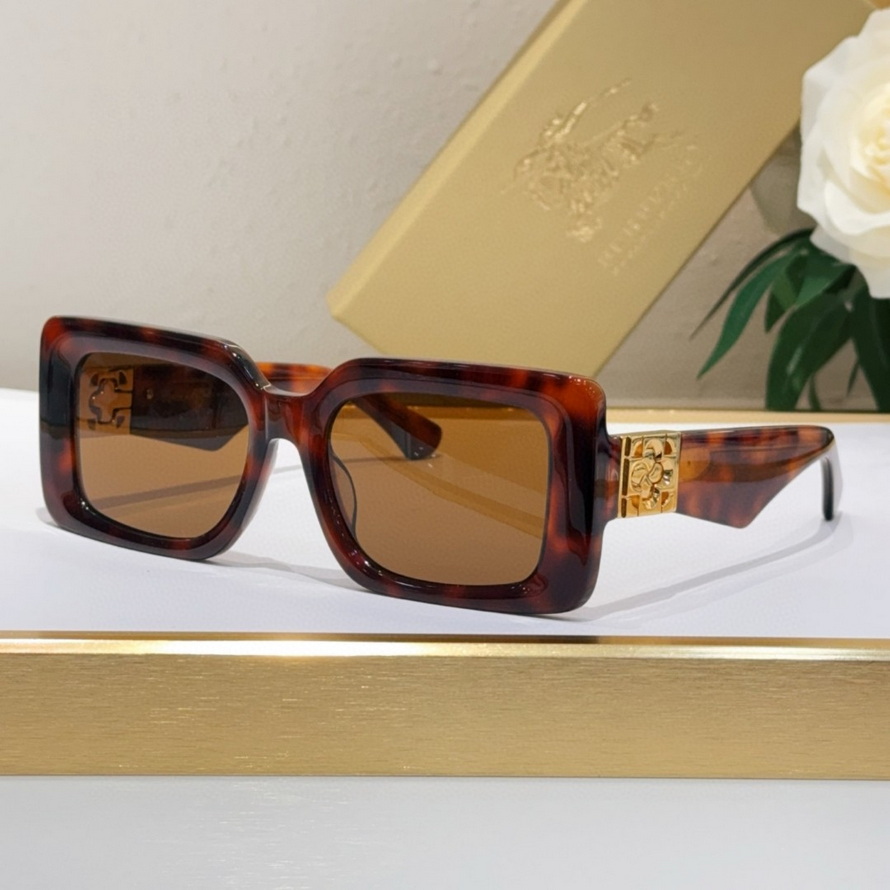 B**rry sunglasses(aaaa)-1049