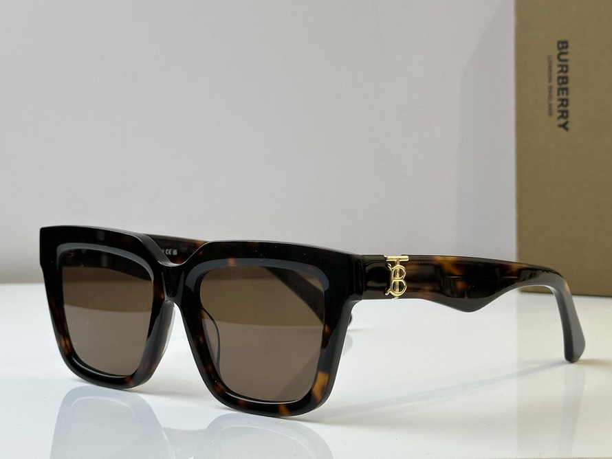 B**rry sunglasses(aaaa)-1045