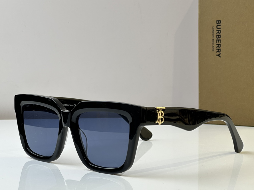 B**rry sunglasses(aaaa)-1038