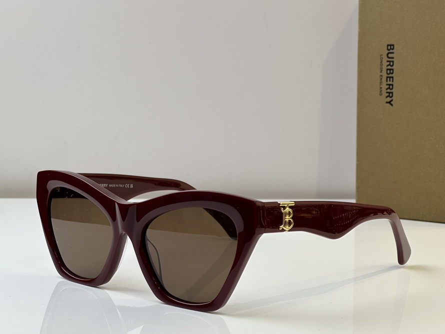 B**rry sunglasses(aaaa)-1036