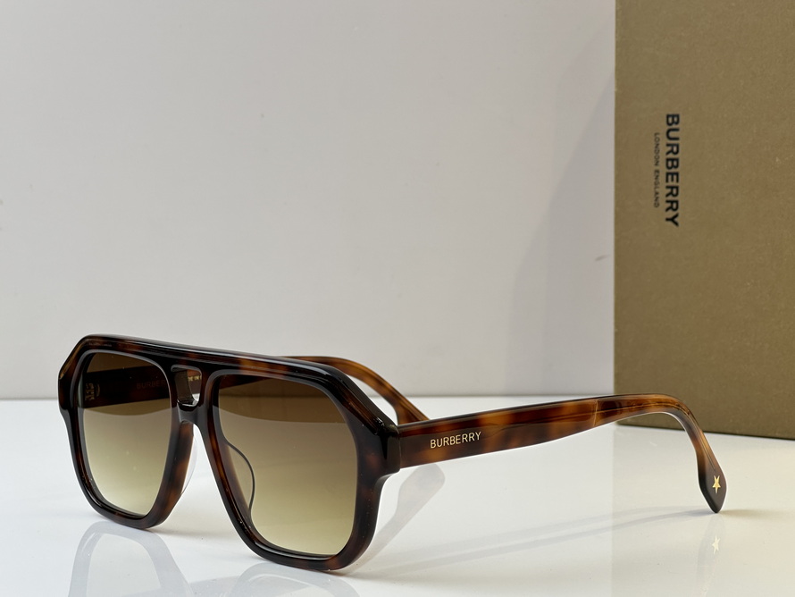 B**rry sunglasses(aaaa)-1029