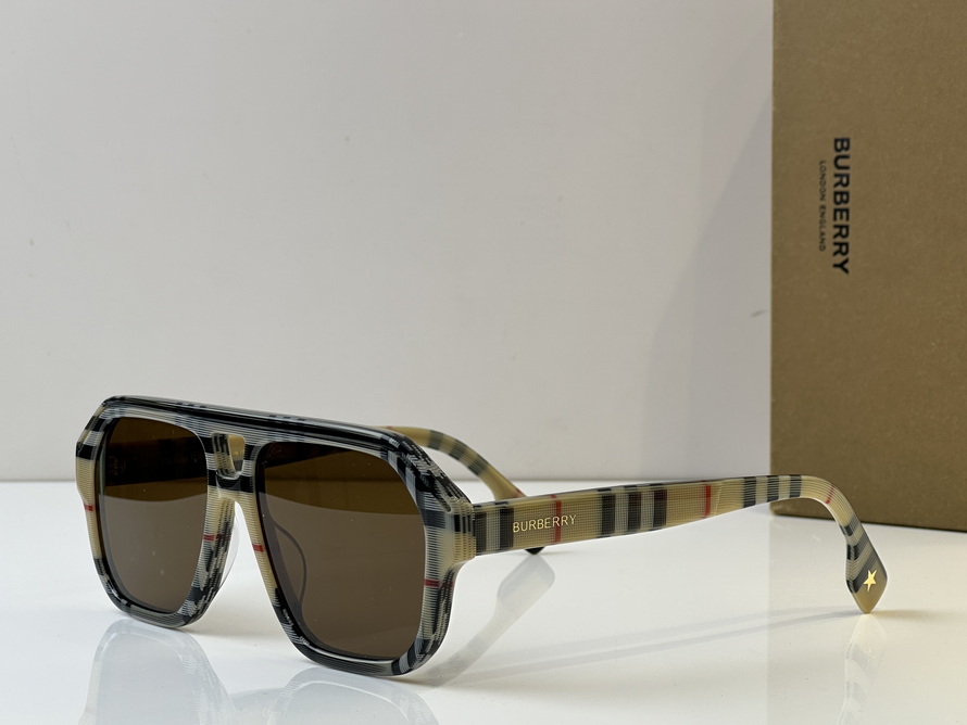 B**rry sunglasses(aaaa)-1023