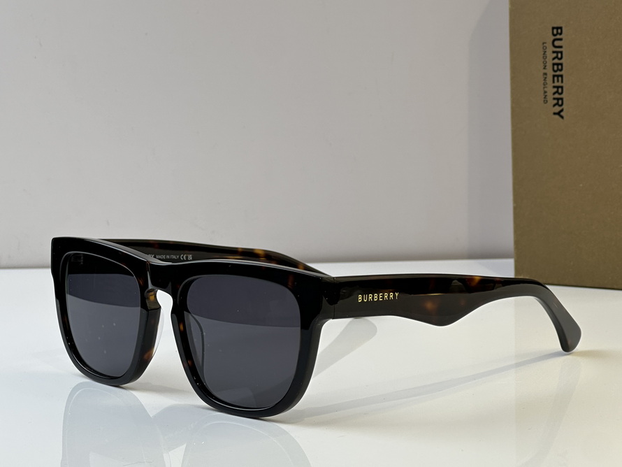 B**rry sunglasses(aaaa)-1022