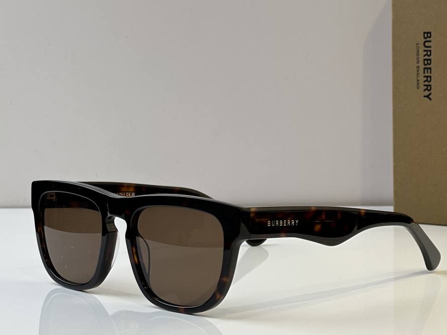 B**rry sunglasses(aaaa)-1018