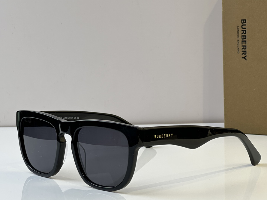 B**rry sunglasses(aaaa)-1017