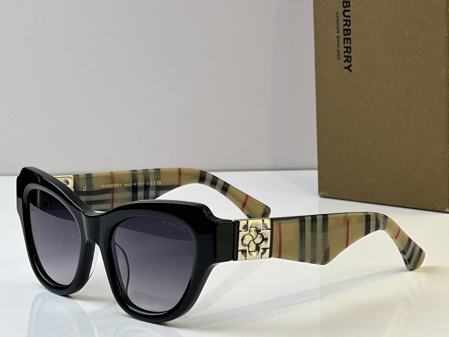 B**rry sunglasses(aaaa)-1009
