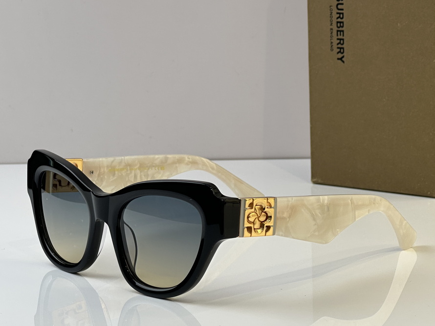 B**rry sunglasses(aaaa)-1007