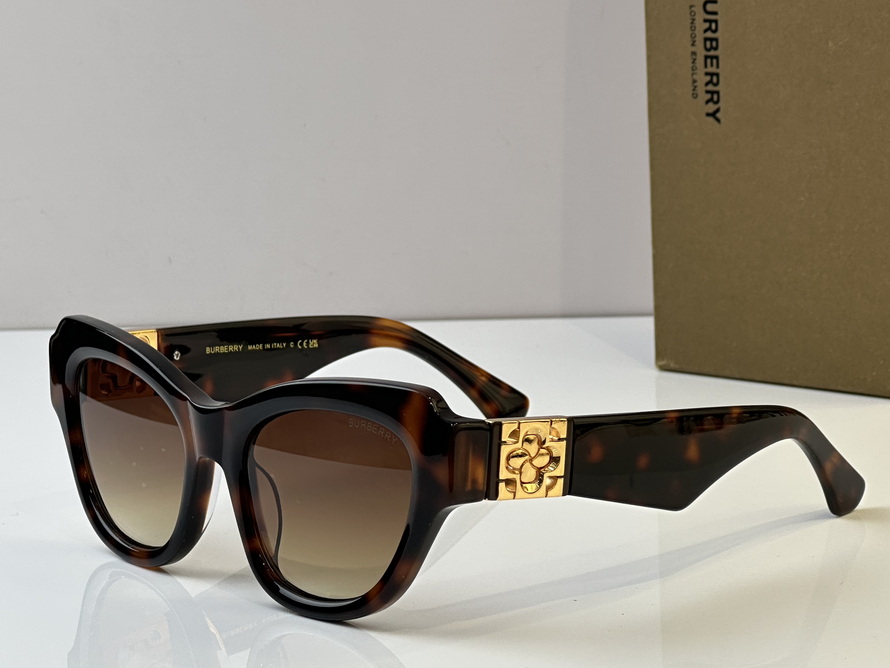 B**rry sunglasses(aaaa)-1005