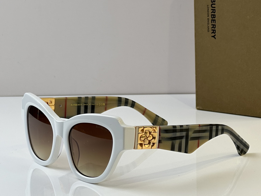 B**rry sunglasses(aaaa)-1004