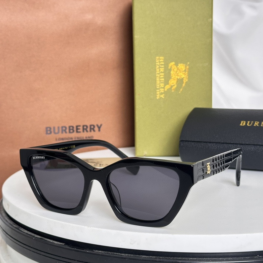 B**rry sunglasses(aaaa)-994