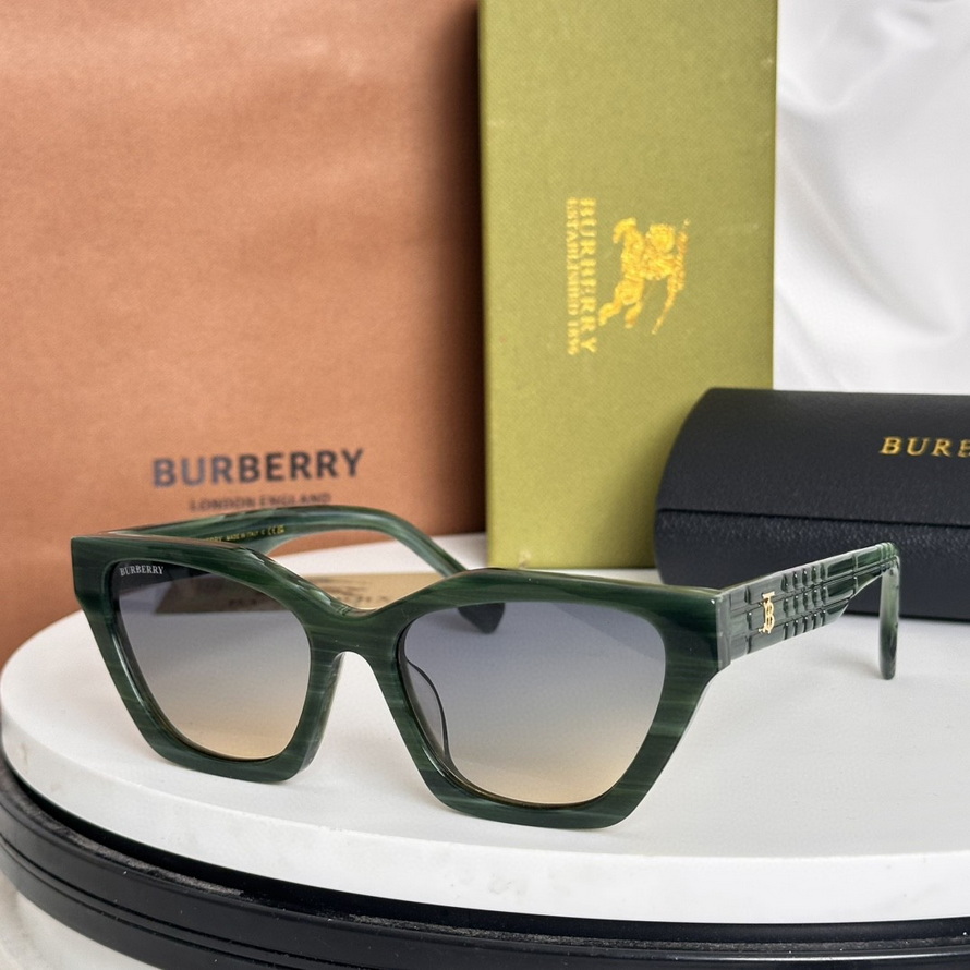 B**rry sunglasses(aaaa)-993