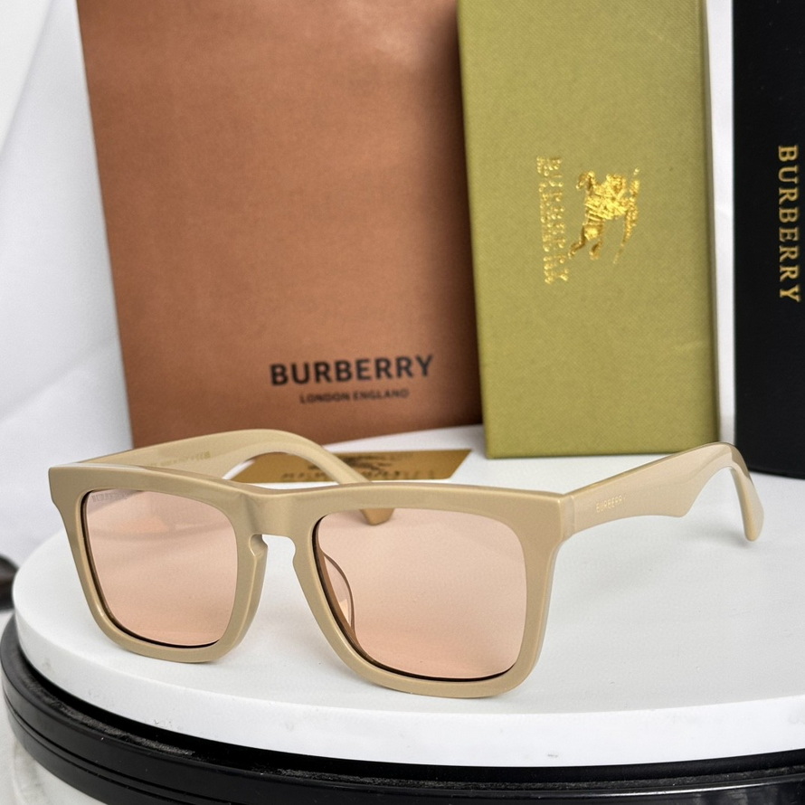 B**rry sunglasses(aaaa)-979