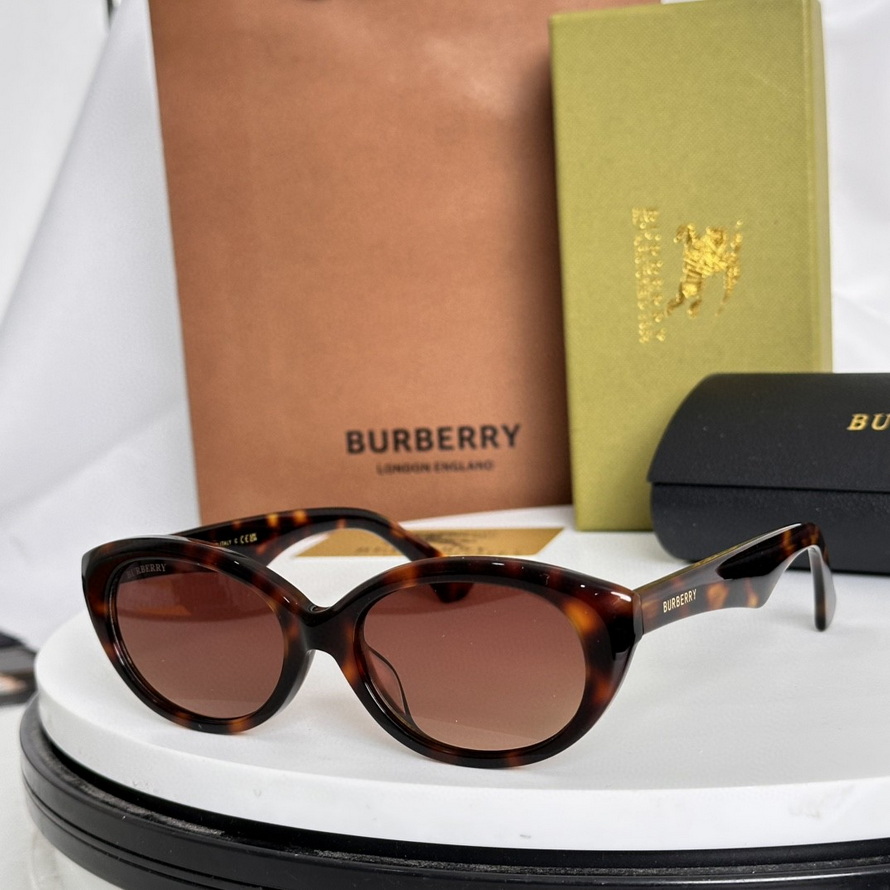 B**rry sunglasses(aaaa)-977