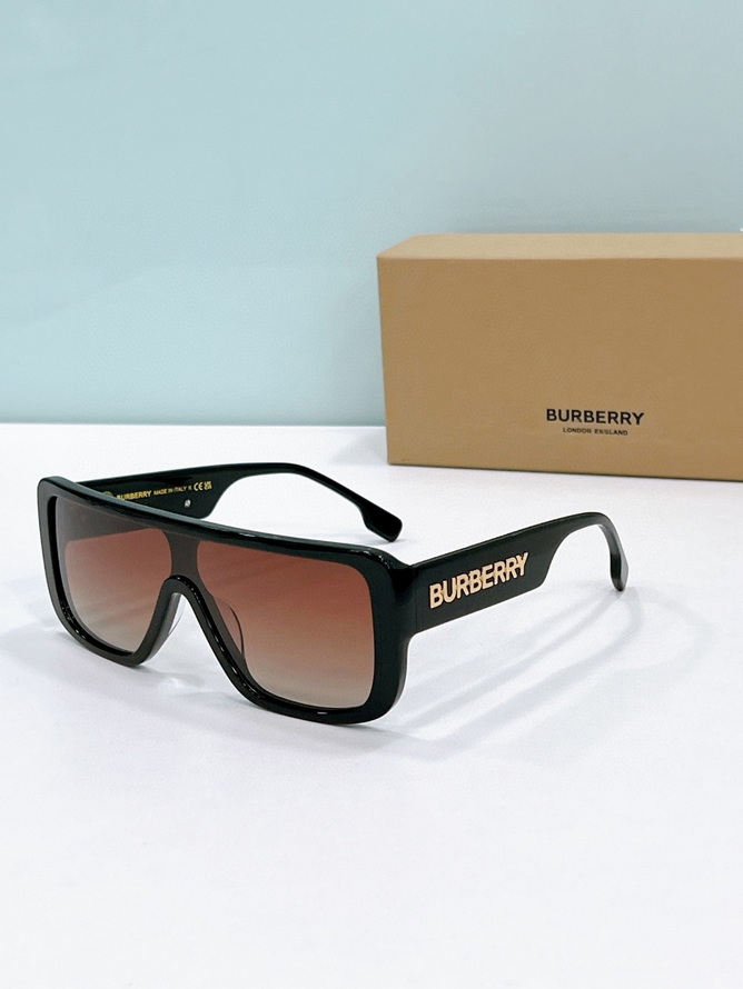 B**rry sunglasses(aaaa)-972