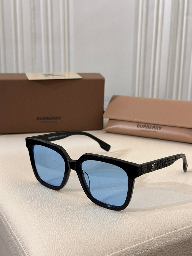 B**rry sunglasses(aaaa)-958