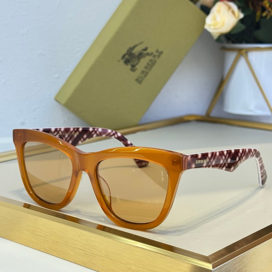 B**rry sunglasses(aaaa)-953