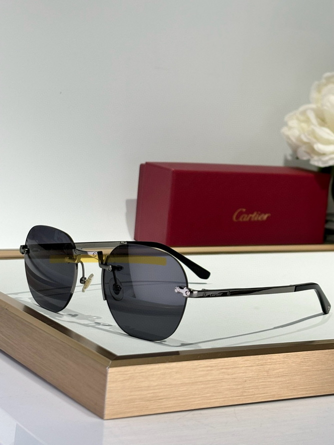Ca*t*er sunglasses(aaaa)-1556