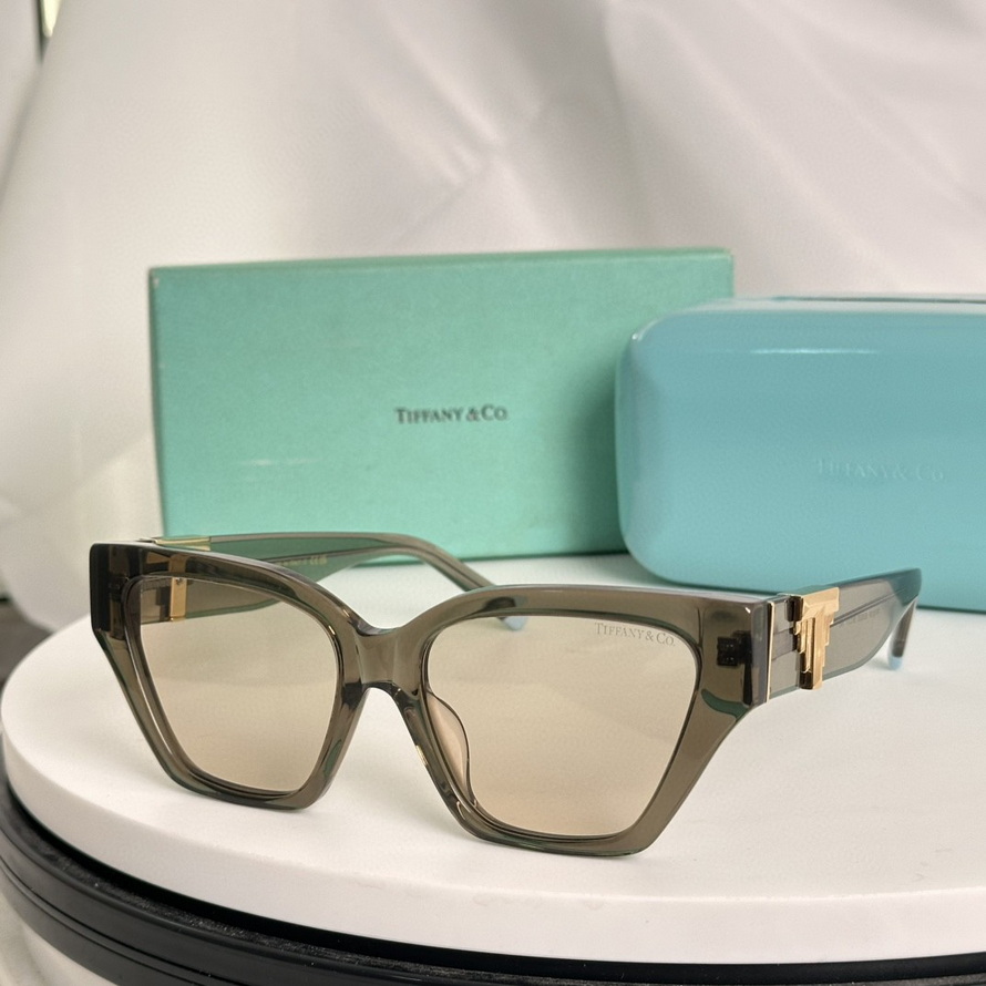 T*f*ny&co. sunglasses(aaaa)-609