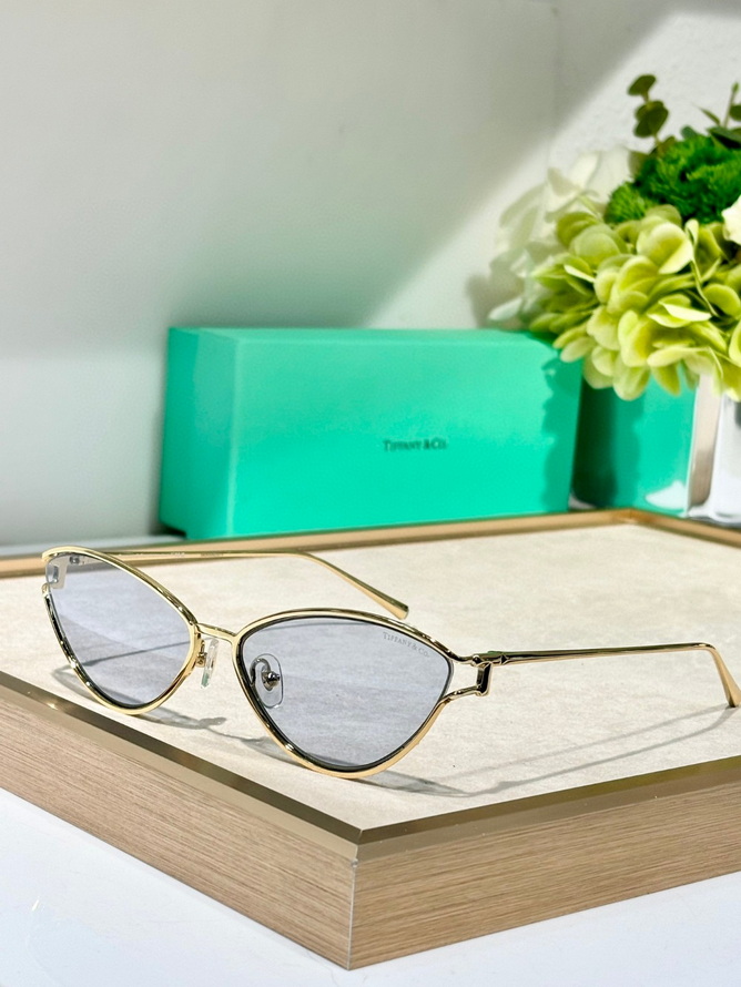 T*f*ny&co. sunglasses(aaaa)-584