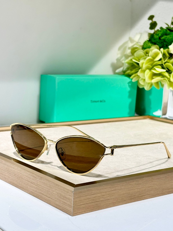 T*f*ny&co. sunglasses(aaaa)-581