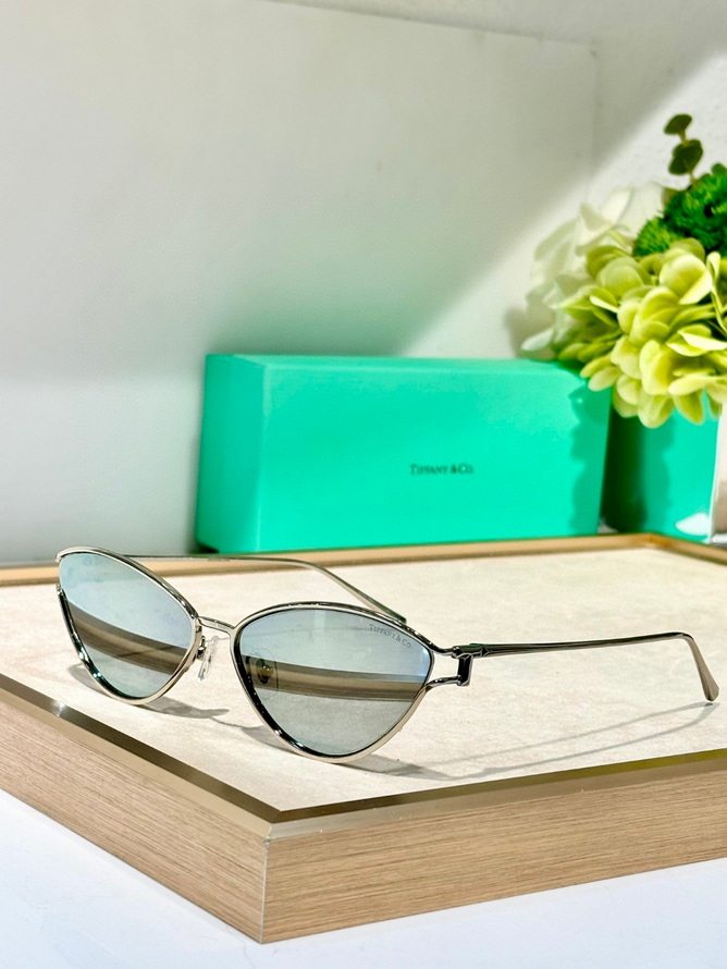 T*f*ny&co. sunglasses(aaaa)-580