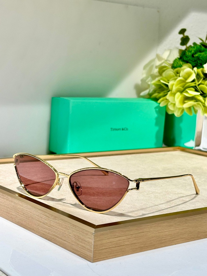 T*f*ny&co. sunglasses(aaaa)-579