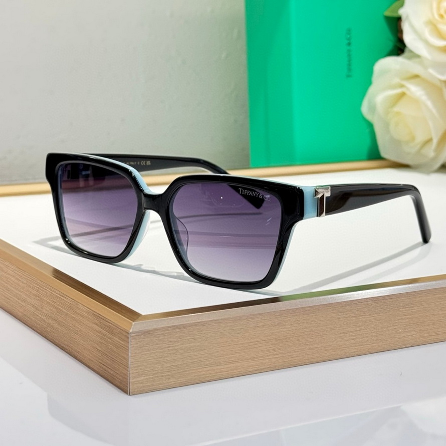 T*f*ny&co. sunglasses(aaaa)-490