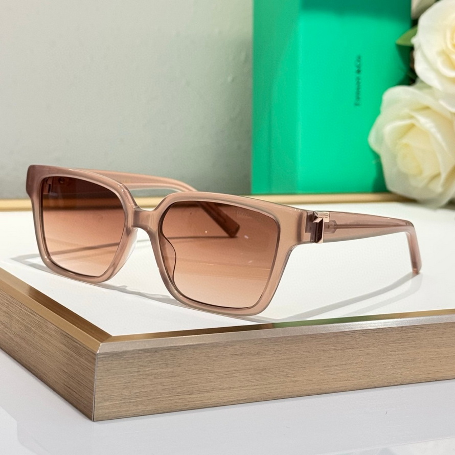T*f*ny&co. sunglasses(aaaa)-489