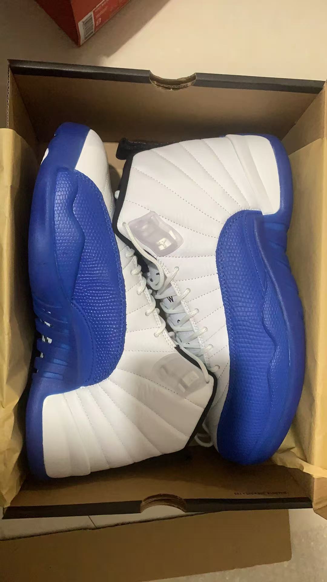 Air Jordan 12-100