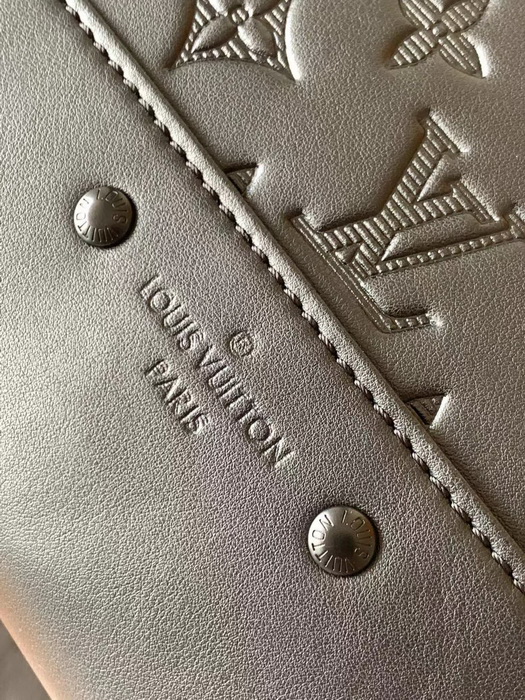 LV Backpack(AAAA)-095