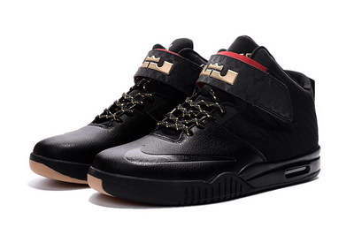 Lebron Akronite-002